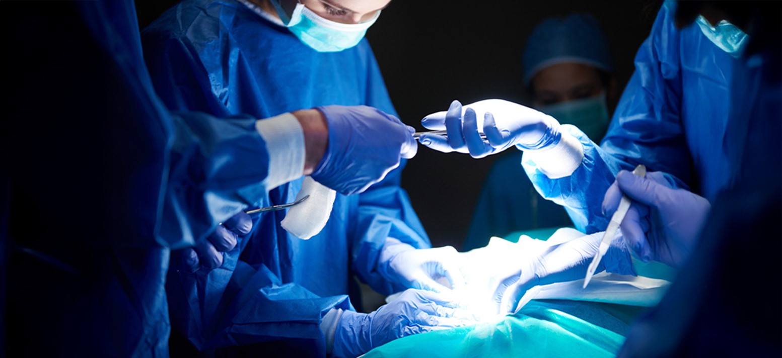Understanding Liver Transplant Success Rates in India: A Vital Guide for Families