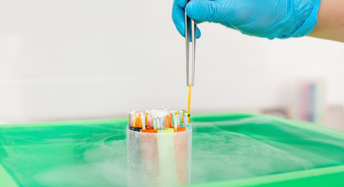 The Benefits of the Embryo Freezing Process How are Embryos Frozen