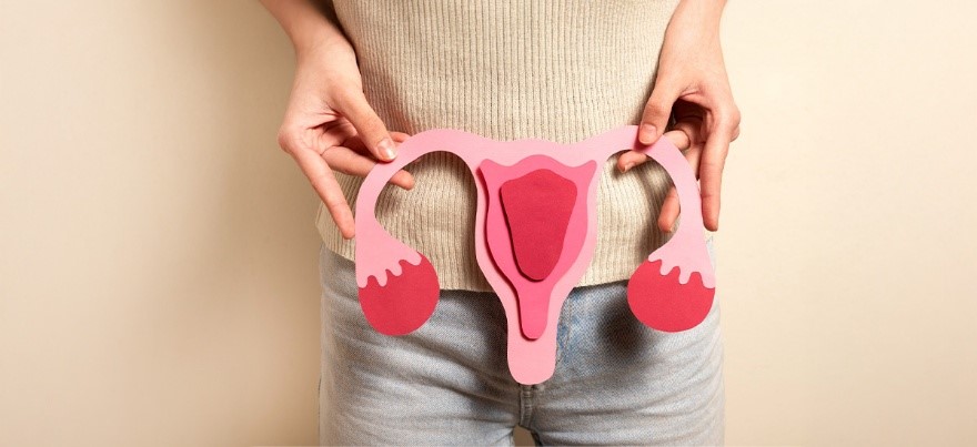 Woman holding anatomical uterus model – Hysteroscopic Surgery Information by BirthRight by Rainbow Hospitals.