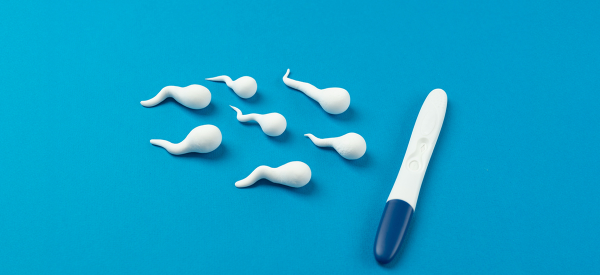 Male Fertility Testing & Diagnosis: A Simple Guide That Spells Out Each Step