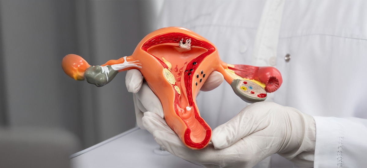 Endometrial Thickness: Things You Need to Know About Endometrial Size