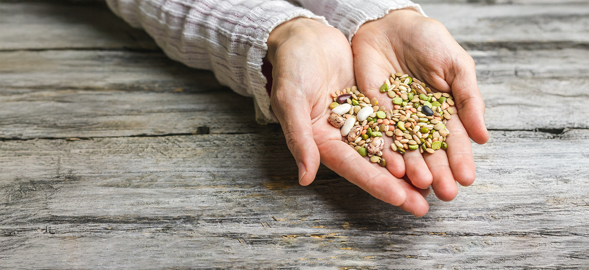 Seed Cycling for Periods: Understanding Benefits and More