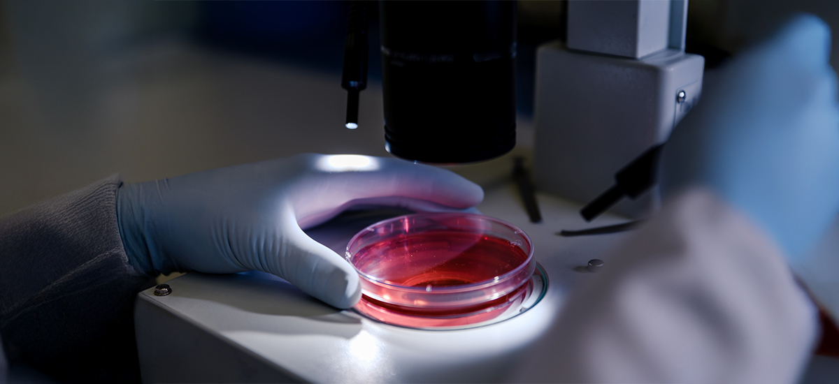 How long can eggs be frozen, and what is a safe embryo freezing duration?